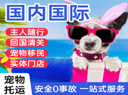 澜沧景迈机场快递国际宠物托运 【国